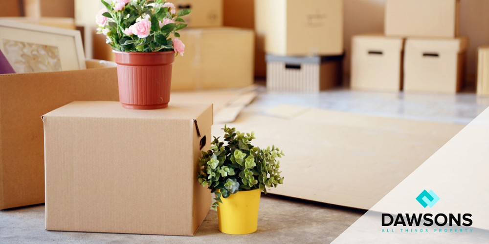 5 steps to avoid getting overwhelmed by the moving process