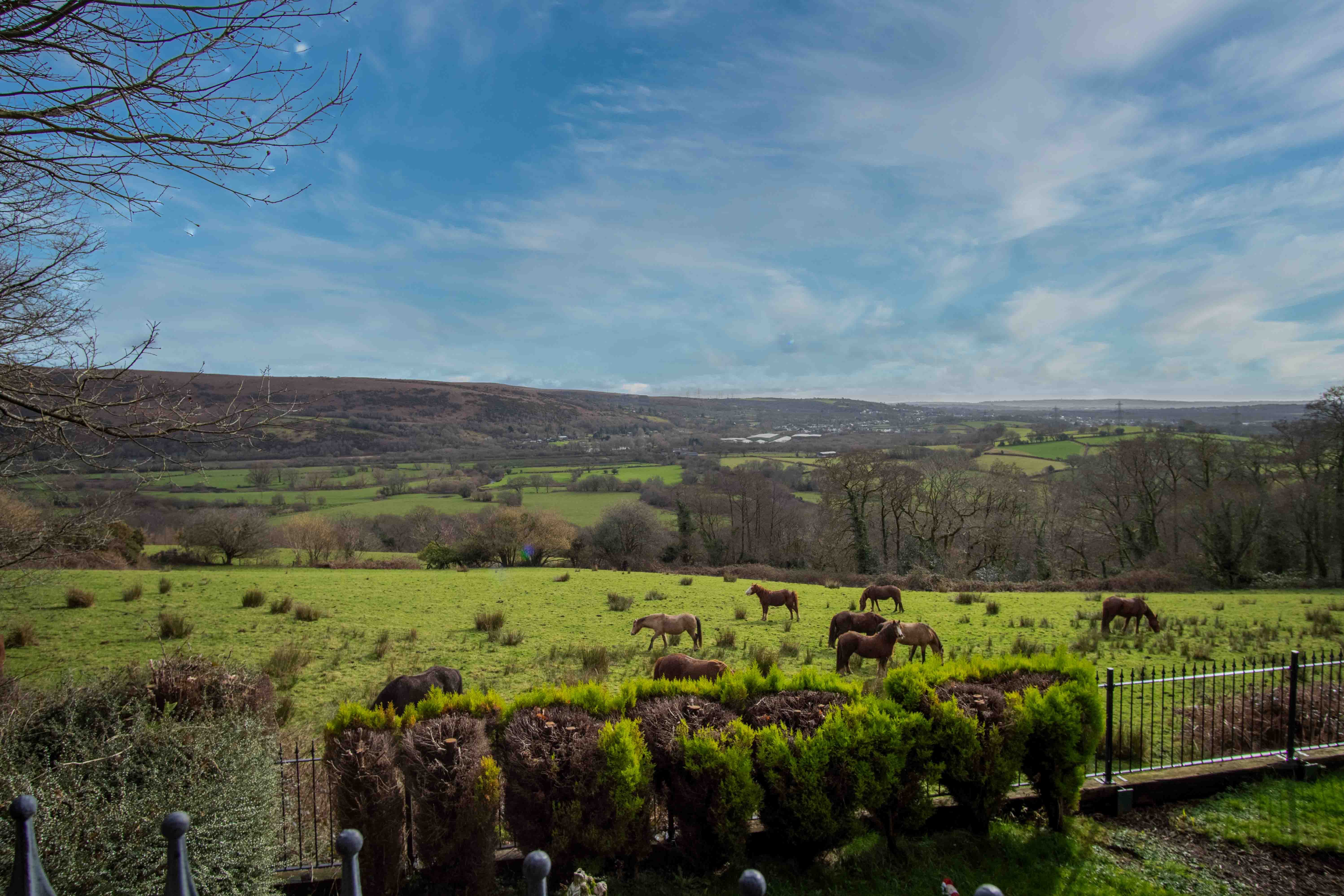 The Old Rectory, Church Road Llanedi, Pontarddulais, Swansea, SA4 0YS